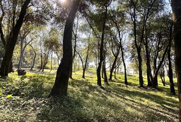 Terrenos en  Villa Carmela, Tucumán