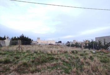 Terrenos en  General Cerri, Partido De Bahía Blanca