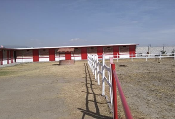 Lote de Terreno en  43870, Vicente Guerrero, Hidalgo, Mex