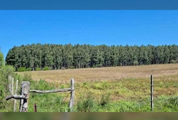 Terrenos en  Villaguay, Entre Ríos