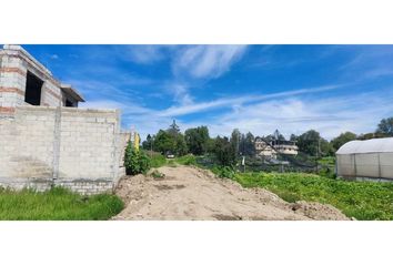 Lote de Terreno en  Santa Cruz Tlaxcala