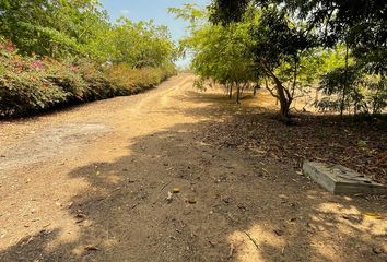 Lote de Terreno en  San Pedro Mixtepec -distrito 22-, Oaxaca