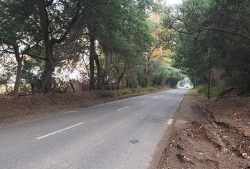 Parcela en  Coihueco, Ñuble (región)