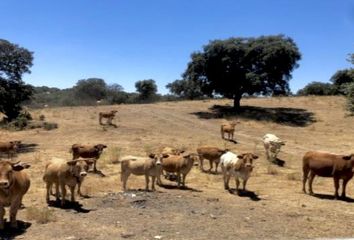 Terreno en  Serradilla, Cáceres Provincia