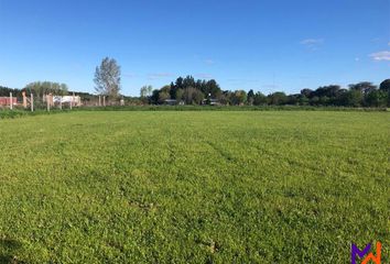 Terrenos en  El Campo - Fincas Exclusivas Cardales, Partido De Campana