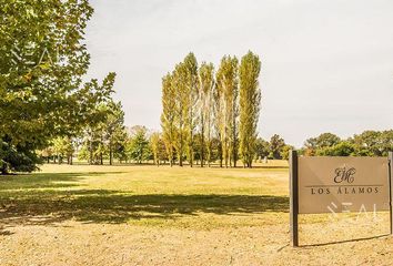 Terrenos en  Carlos Spegazzini, Partido De Ezeiza