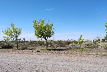 Terrenos en  Confluencia, Neuquen