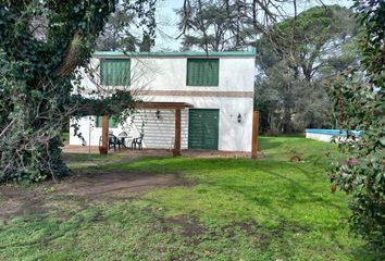 Terrenos en  Villa Ortiz, Partido De Alberti