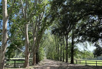 Terrenos en  La Lonja, Partido Del Pilar