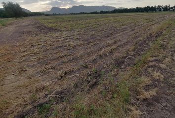 Lote de Terreno en  San Isidro, Ciudad Lerdo, Lerdo