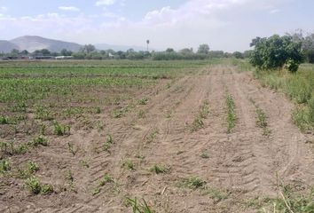 Lote de Terreno en  Villa De Guadalupe, Ciudad Lerdo, Lerdo