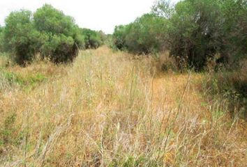 Terreno en  Altafulla, Tarragona Provincia