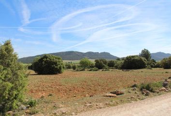 Terreno en  Carcelen, Albacete Provincia