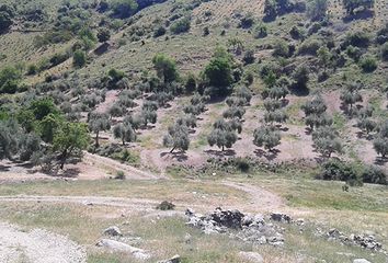 Terreno en  Frailes, Jaén Provincia