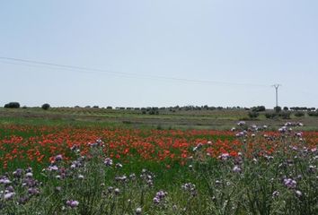 Terreno en  Santa Maria De Los Llanos, Cuenca Provincia