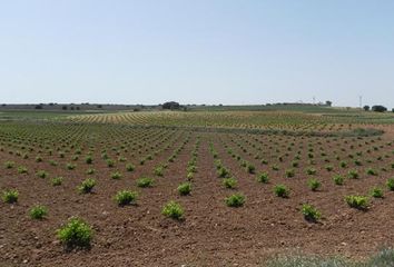 Terreno en  Santa Maria De Los Llanos, Cuenca Provincia