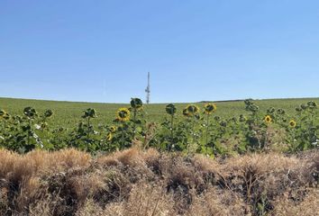 Terreno en  Burgos, Burgos Provincia