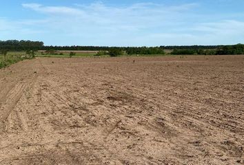 Terrenos en  San Pedro, Partido De San Pedro