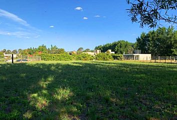 Terrenos en  General Pico, La Pampa