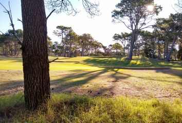 Terrenos en  Otro, Pinamar