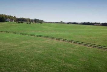 Terrenos en  Quebradas, Partido De Baradero