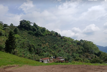 Villa-Quinta en  El Jardín, Pereira