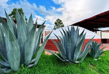 Casa en  Calle Federico Herrera, San José De La Amistad, San Miguel De Allende, Guanajuato, 37883, Mex