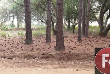 Terrenos en  Ituzaingá, Ituzaingó, Corrientes, Arg