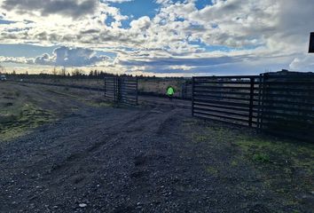 Parcela en  Los Ángeles, Bío-bío