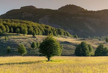 Parcela en  Coyhaique, Coyhaique