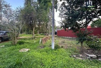 Lote de Terreno en  Carretera Las Trancas-pacho Nuevo, Emiliano Zapata, Veracruz De Ignacio De La Llave, 91637, Mex