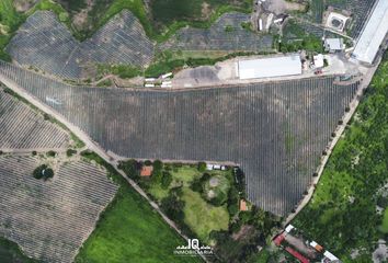 Lote de Terreno en  San Agustin, Tlajomulco De Zúñiga