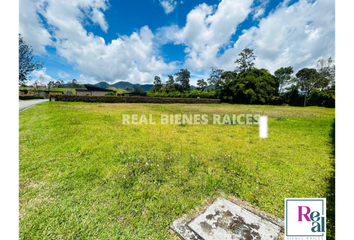 Lote de Terreno en  Rionegro Antioquía