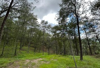 Lote de Terreno en  Ejido Surutato, Badiraguato