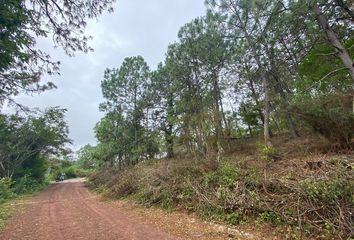 Lote de Terreno en  Tapalpa, Tapalpa, Tapalpa, Jalisco