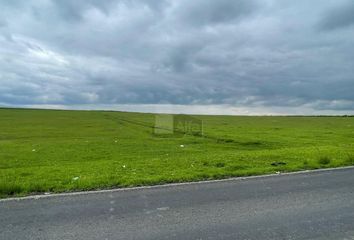 Lote de Terreno en  San Pedro, Almoloya De Juárez