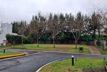 Terrenos en  Barrancas De San José, Partido De Tigre