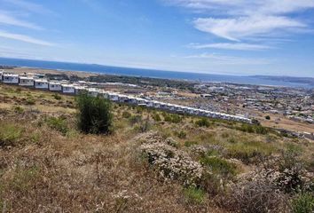 Lote de Terreno en  Praderas Del Ciprés Sección I, Baja California Norte