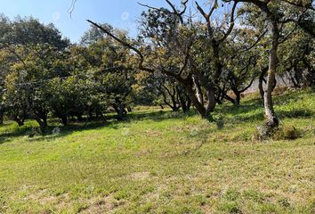 Lote de Terreno en  Pueblo Santa María Ahuacatitlán, Cuernavaca, Morelos