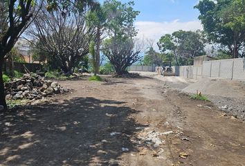 Lote de Terreno en  Burgos, Temixco, Temixco, Morelos