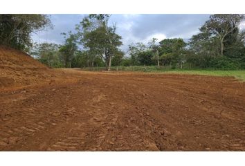 Lotes y Terrenos en  Trapichito, La Chorrera