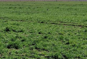 Terrenos en  General Guido, Provincia De Buenos Aires, Arg