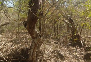 Rancho en  Avenida Revolucion Poniente 3, Tepeyac, Las Varas, Compostela, Nayarit, 63715, Mex