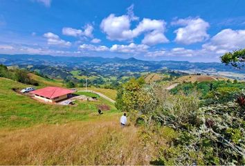 Lote de Terreno en  Carmen De Carupa, Cundinamarca