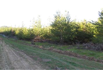 Parcela en  Chépica, Colchagua