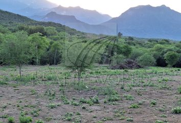 Lote de Terreno en  Montemorelos Centro, Montemorelos