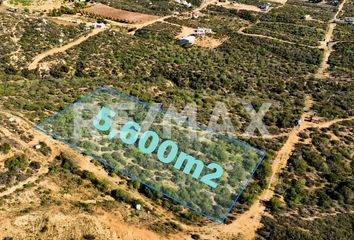 Lote de Terreno en  Murgia, Ensenada