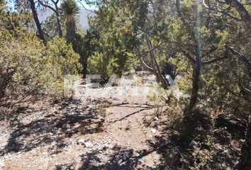 Lote de Terreno en  Arteaga, Arteaga, Arteaga, Coahuila