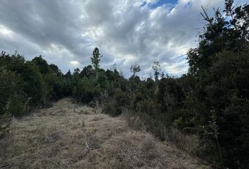 Parcela en  Los Lagos, Valdivia