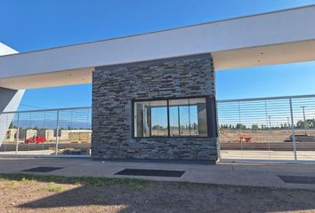 Terrenos en  Calle Azcuénaga, Cruz De Piedra, Maipú, Mendoza, Arg